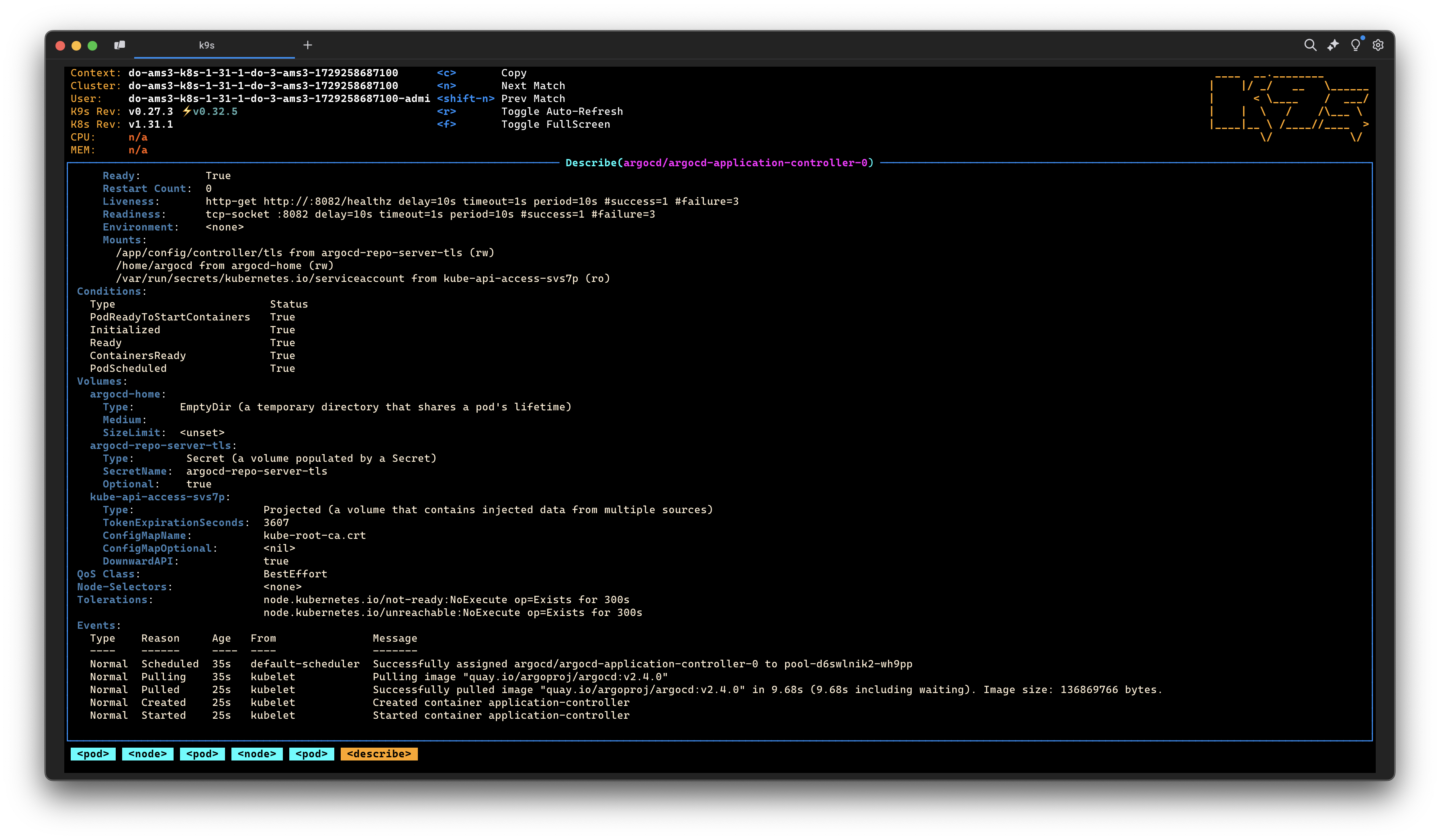 K9S dashboard with describe command